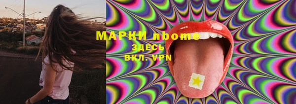 apvp Алексин