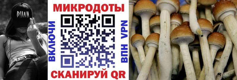 Псилоцибиновые грибы Cubensis Алексин
